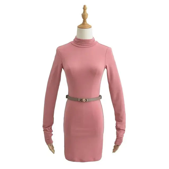 Women Turtleneck Long Sleeve Mini Dress With Sashes 5 Colors Elastic Slim Dresses