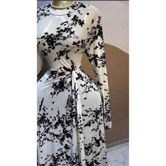 Printed Long Sleeve Sheer Mesh Pleated Maxi Dress for Women
